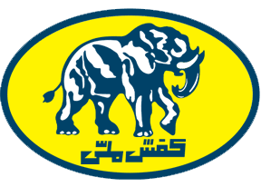 شرکت کفش ملی